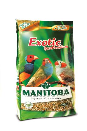 Exotic Best Premium Manitoba
