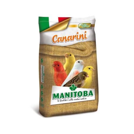 MIXTURE CANARY T1 MANITOBA Biscuits