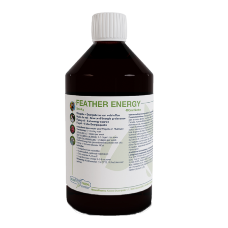 FEATHER ENERGY Flight oil, source of energy from lipids